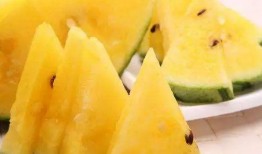 56吃瓜网 17草吃瓜网黑料爆料视频在线看